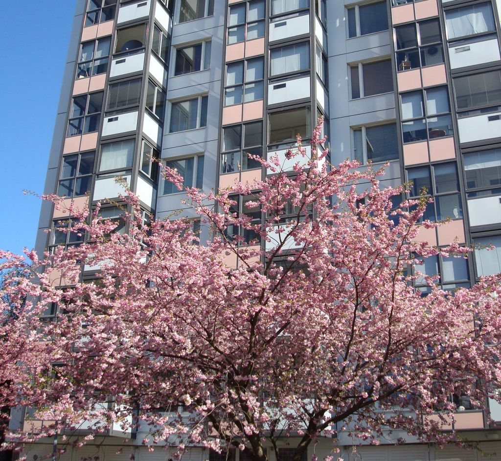 Höghus på Vårvädersgatan