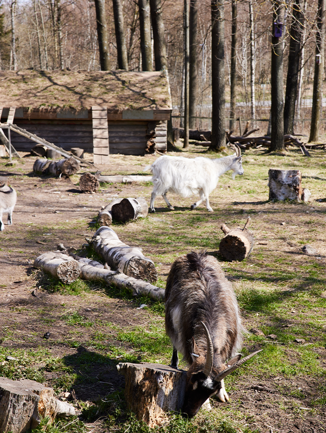 4H-gård Kättilsröd2 - Tuve torg