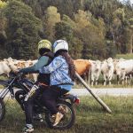 Två ungdomar, en med kort hår och en med långt hår, sitter med moppehjälmar på en moppe och tittar mot en hage som är full av kor.