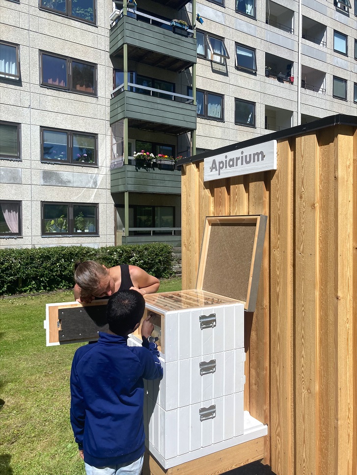 En kvinna och en pojke tittar in i en bikupa.