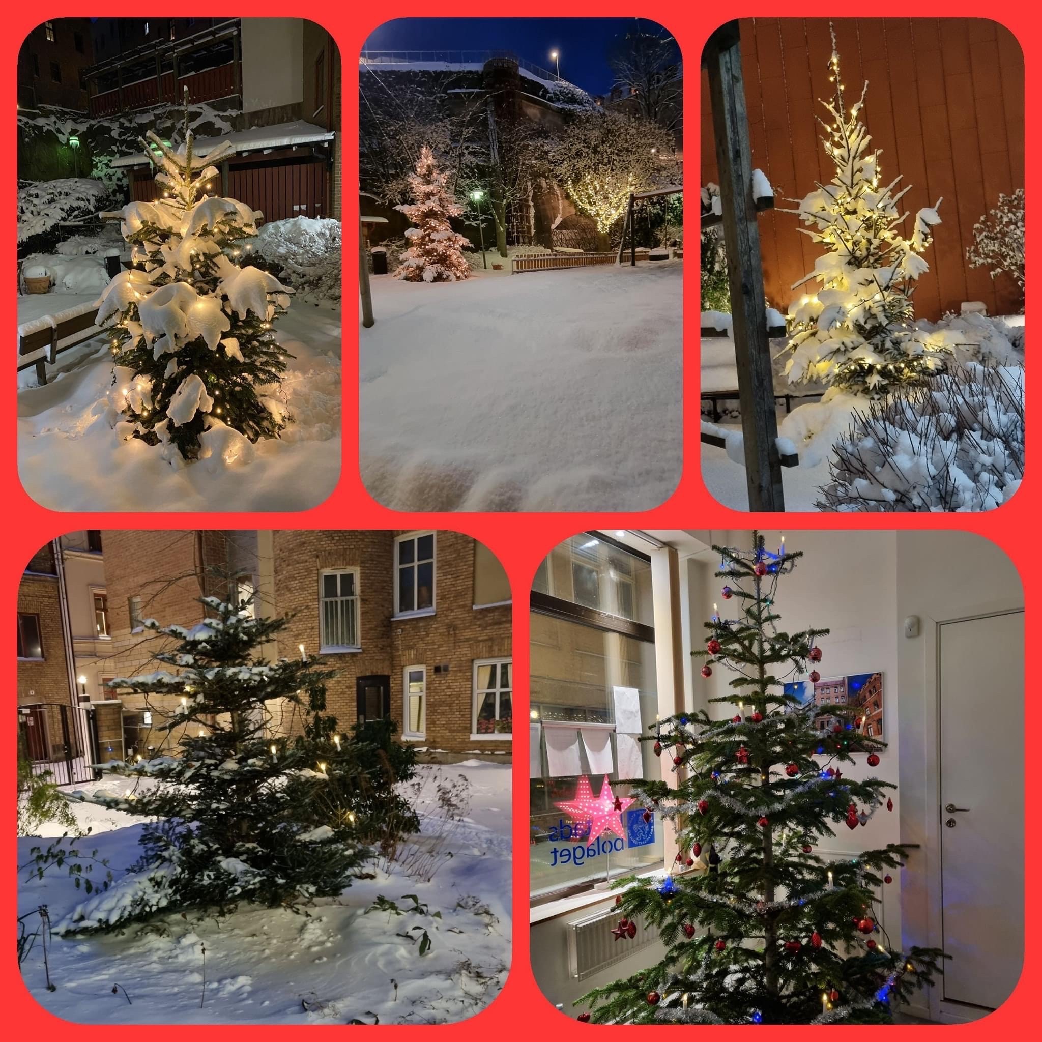 Collage på granar och snö i Västra Nordstan