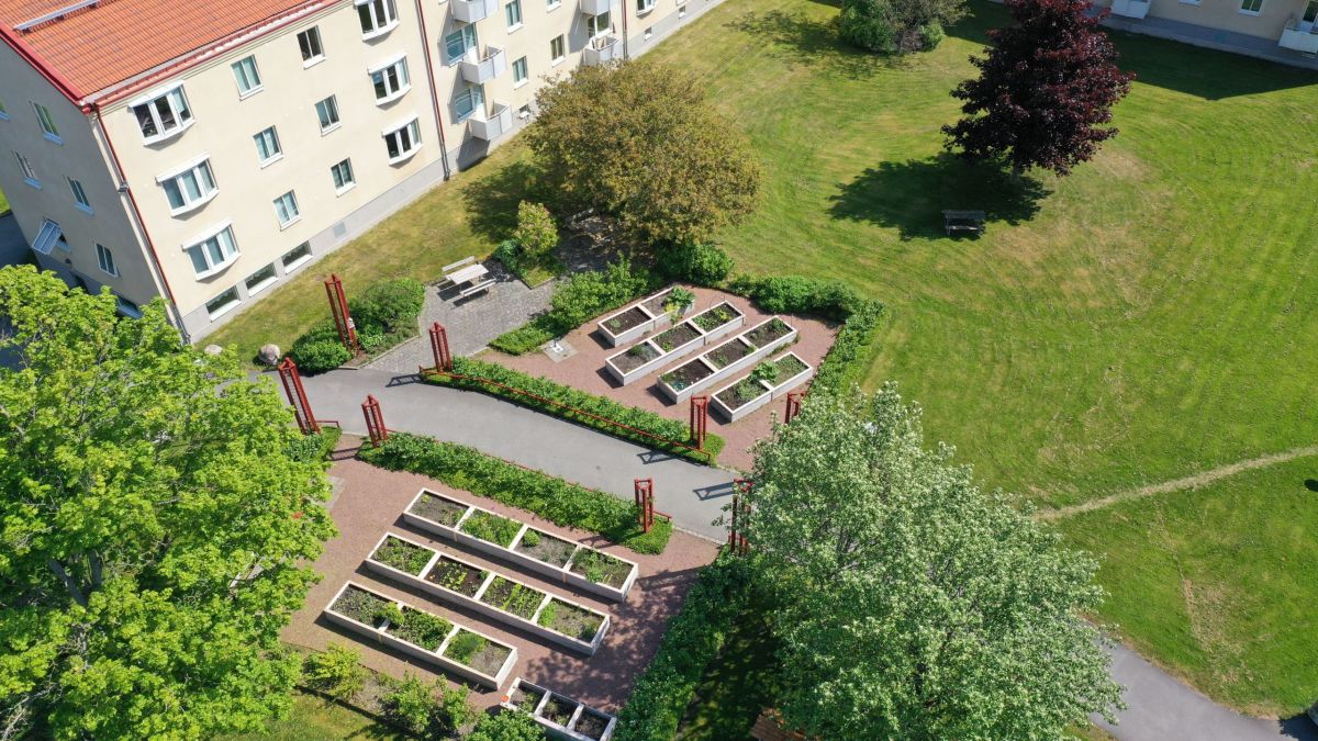 odlingslotter kyrkbyn