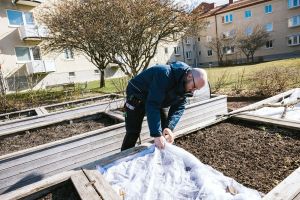 En man framför odlingslådor.