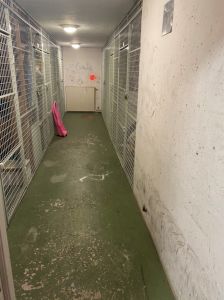 Källare på Topasgatan innan målning