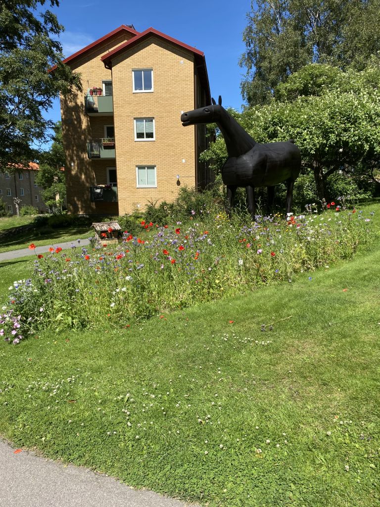 Slåtteräng i Guldheden vid konstverket Havre och Betong, som är en häststaty.