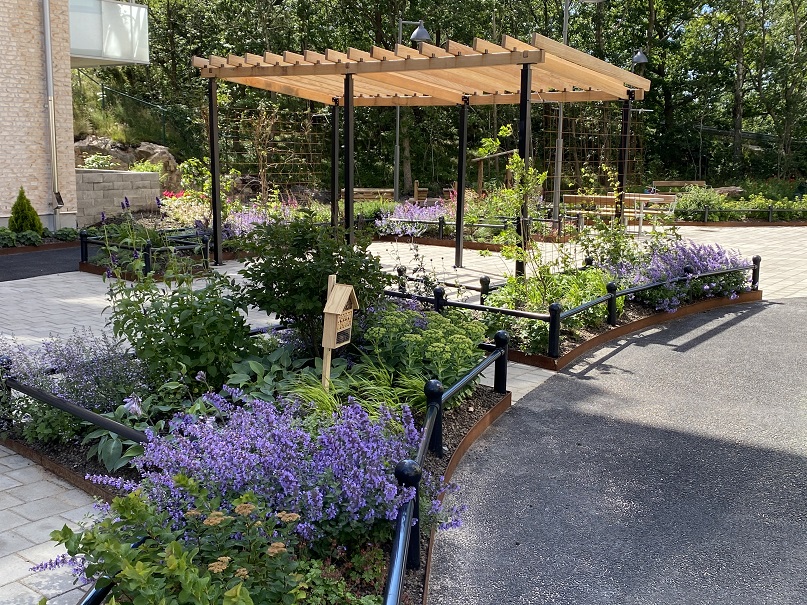 En av Bostadsbolagets vackra plantering. Här på en gård i Guldheden.