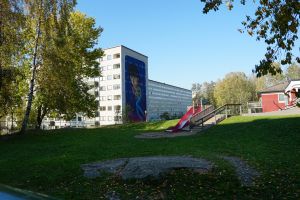 Bilden visar grönytor med ett höghus i bakgrunden.