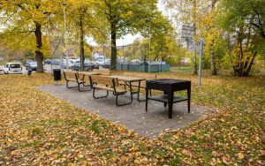 En grillplats med bänkar.