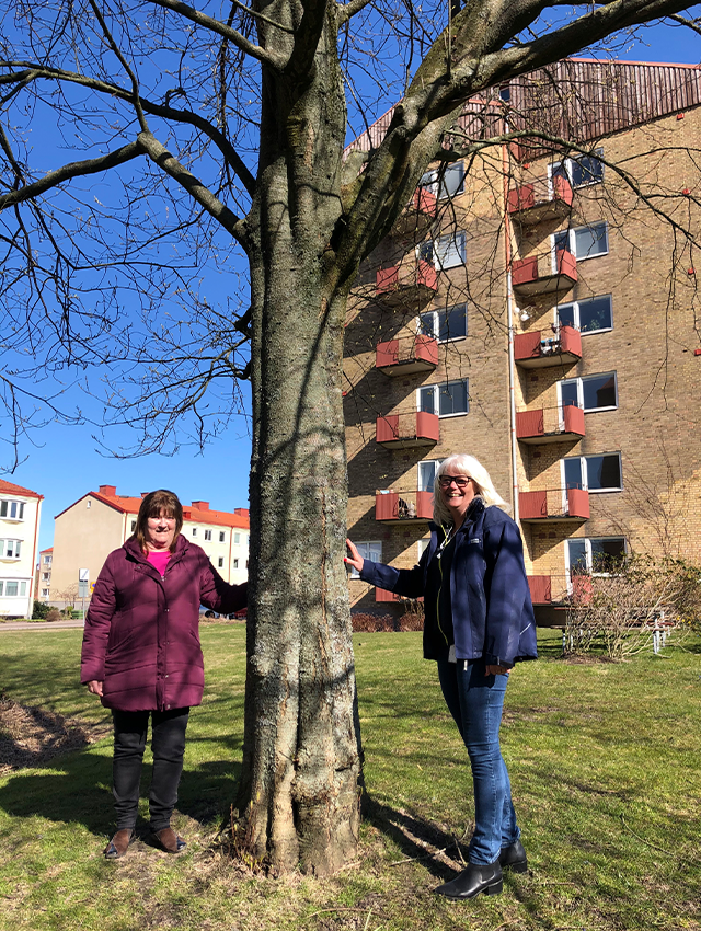 Två personer lutar står bredvid träd
