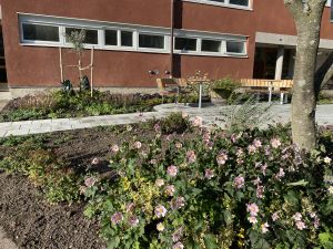 Blommande perennäng