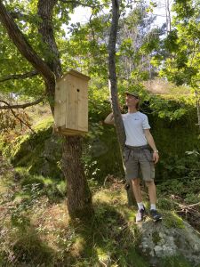 Fastighetsskötare står mitt bland grönskande träd och tittar på en mulmholk