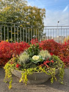 Urna med höstblommor i Västra Järnbrott