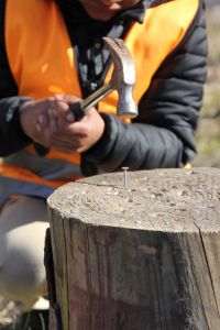 Barn som spikar en spik i en stubbe.