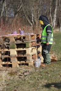 Barn vid pallar som ska bli till insektshotell.