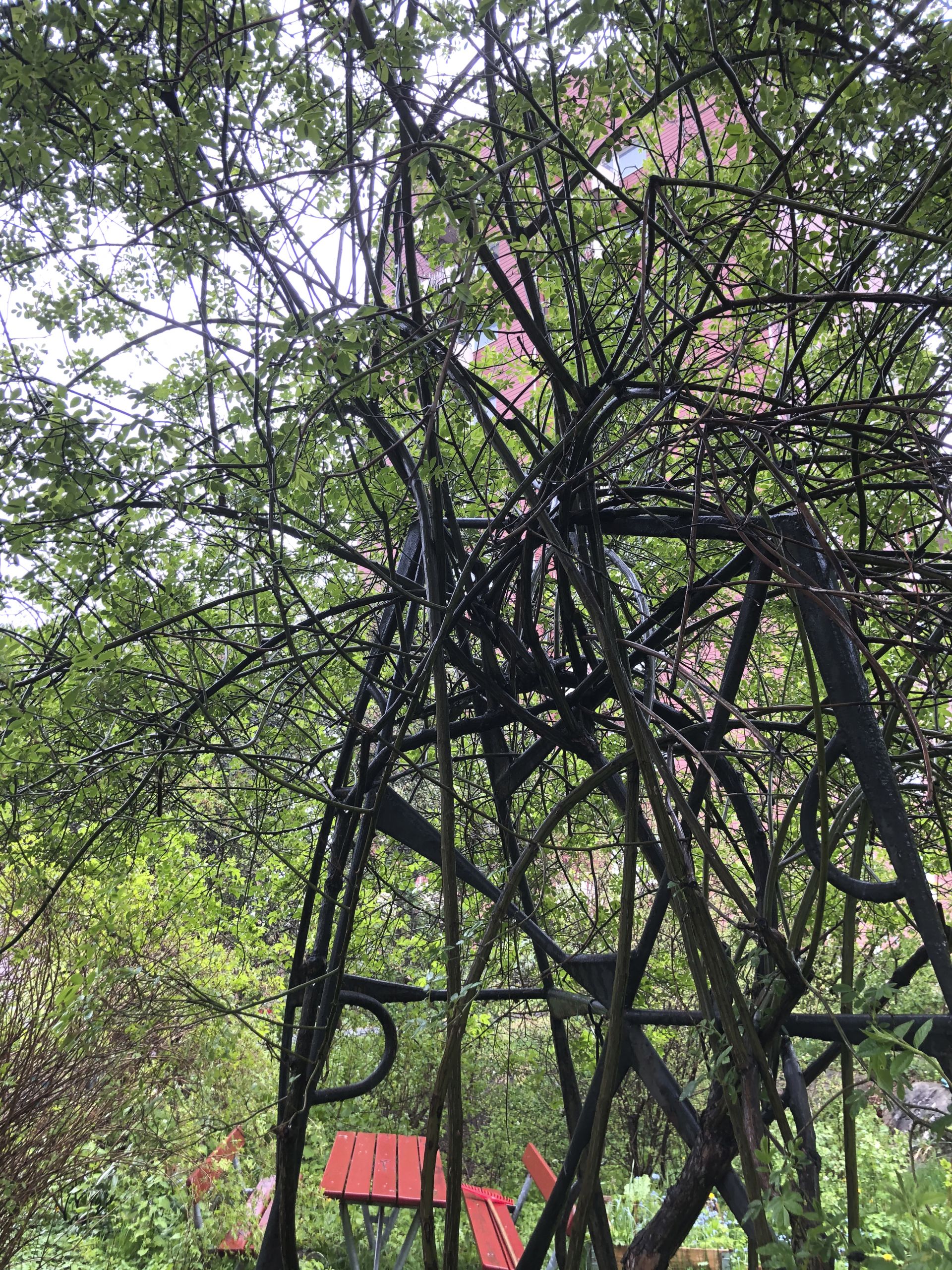 Bild på konstverket Järn och sand som blivit övervuxet av en rosenbuske.