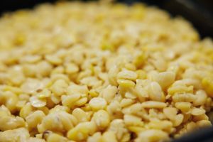 Mosad åkerböna i närbild.