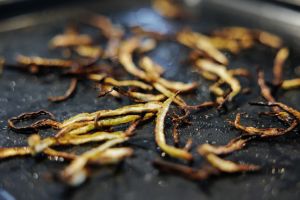 Friterade rotselleri.