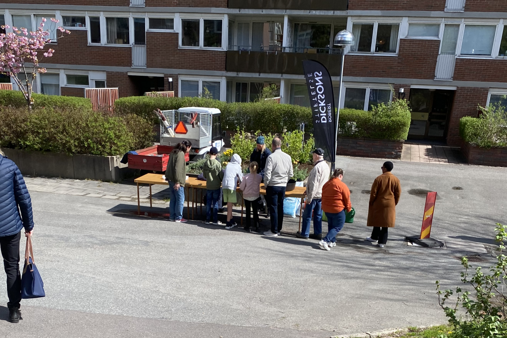 Landaladagen, fröplantering