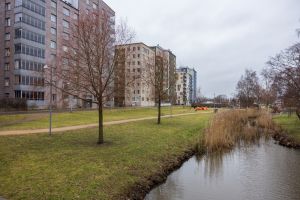 En bäck med höghus i bakgrunden.