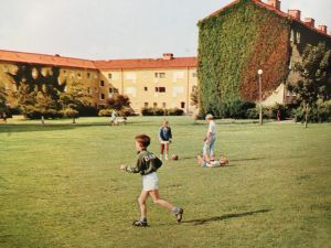 Pojkar spelar fotboll på en stor gräsplan.