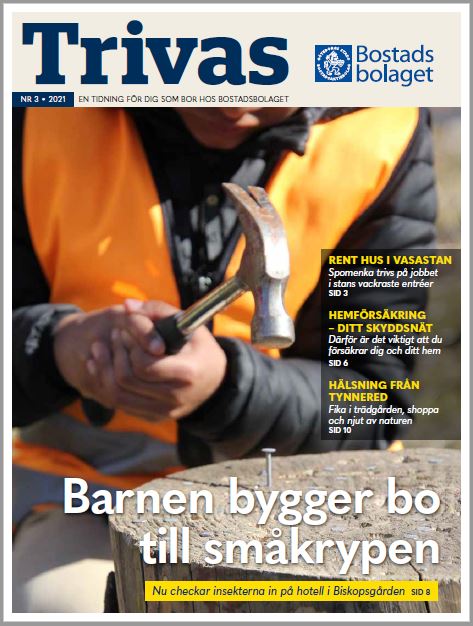 Bilden föreställer framsidan av Trivas nr 3 2021. Ett barn spikar i en spik i en stubbe.