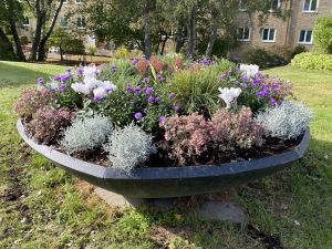 Höstplantering i urna