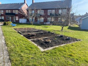 Odlingslotter framför hus i Amhult.