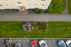 Arne Andersson konstverk.jpg