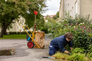 Hanna Ivarsson_sasongare_Torpa3.jpg