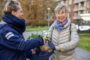 Hit o dit i Tynnered2.jpg