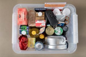 Krislada_fri_Thomas Henrikson.jpg