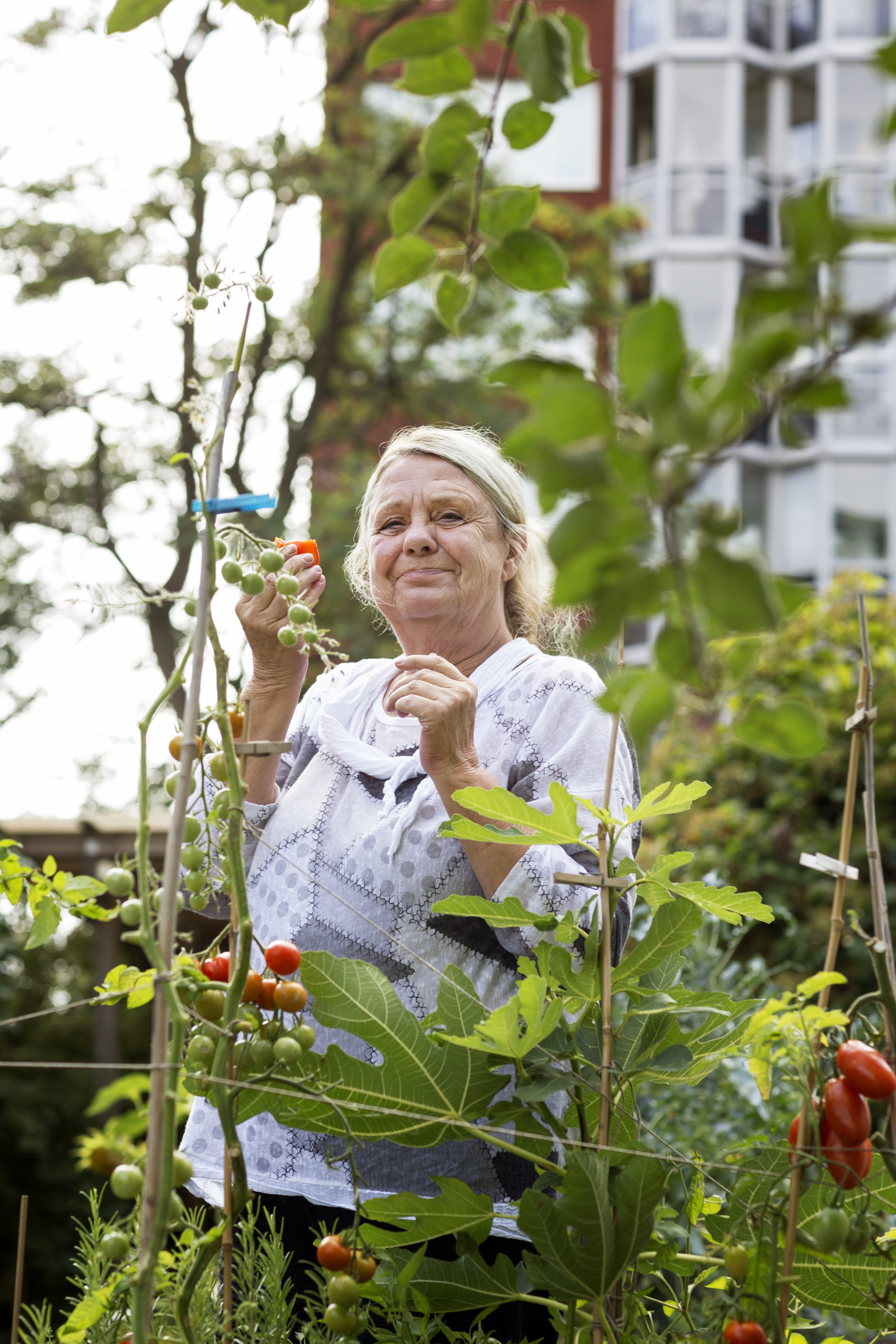 Kvinna håller i en tomat