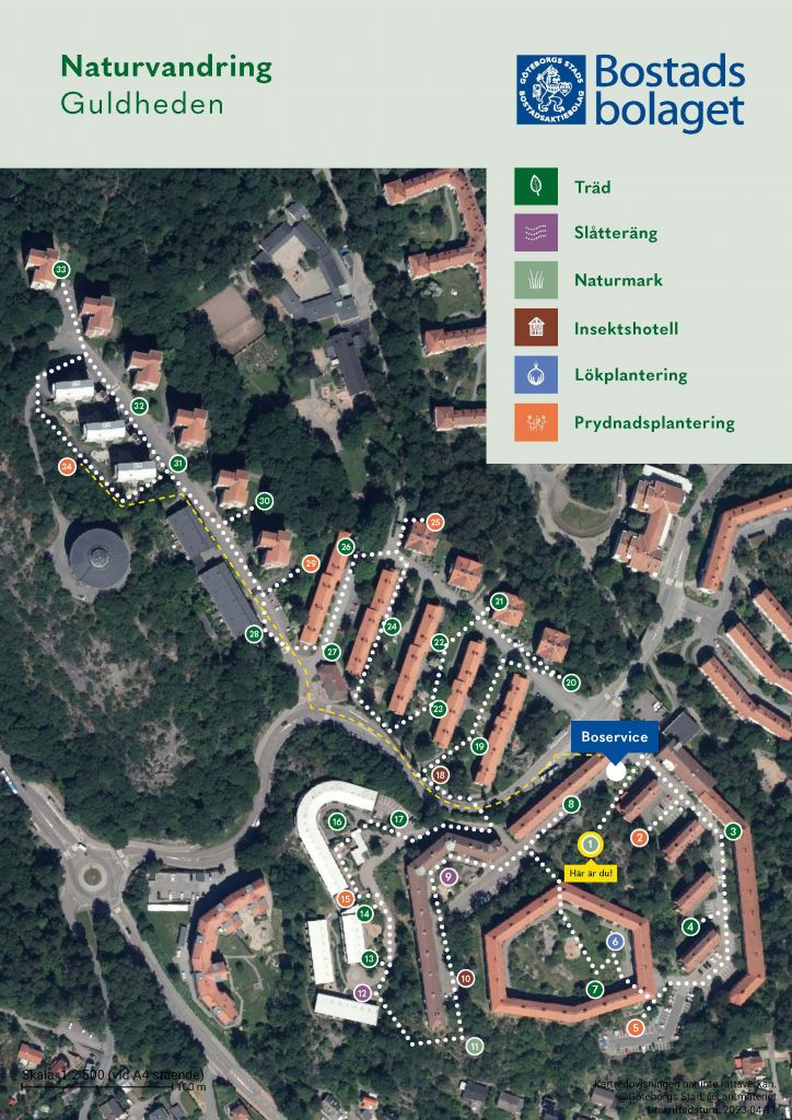 Visar punkt 1 på kartan över Guldhedens naturvandring.