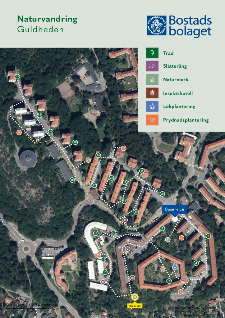 Visar punkt 11 på kartan över Guldhedens naturvandring. 