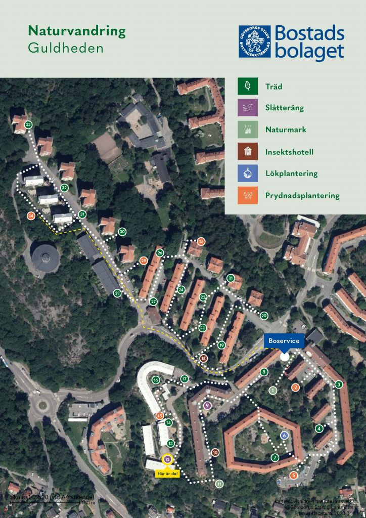 Visar punkt 12 på kartan över Guldhedens naturvandring. 