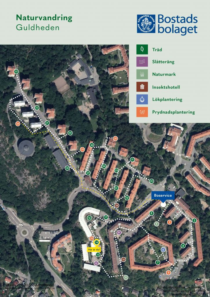 Visar punkt 14 på kartan över Guldhedens naturvandring. 