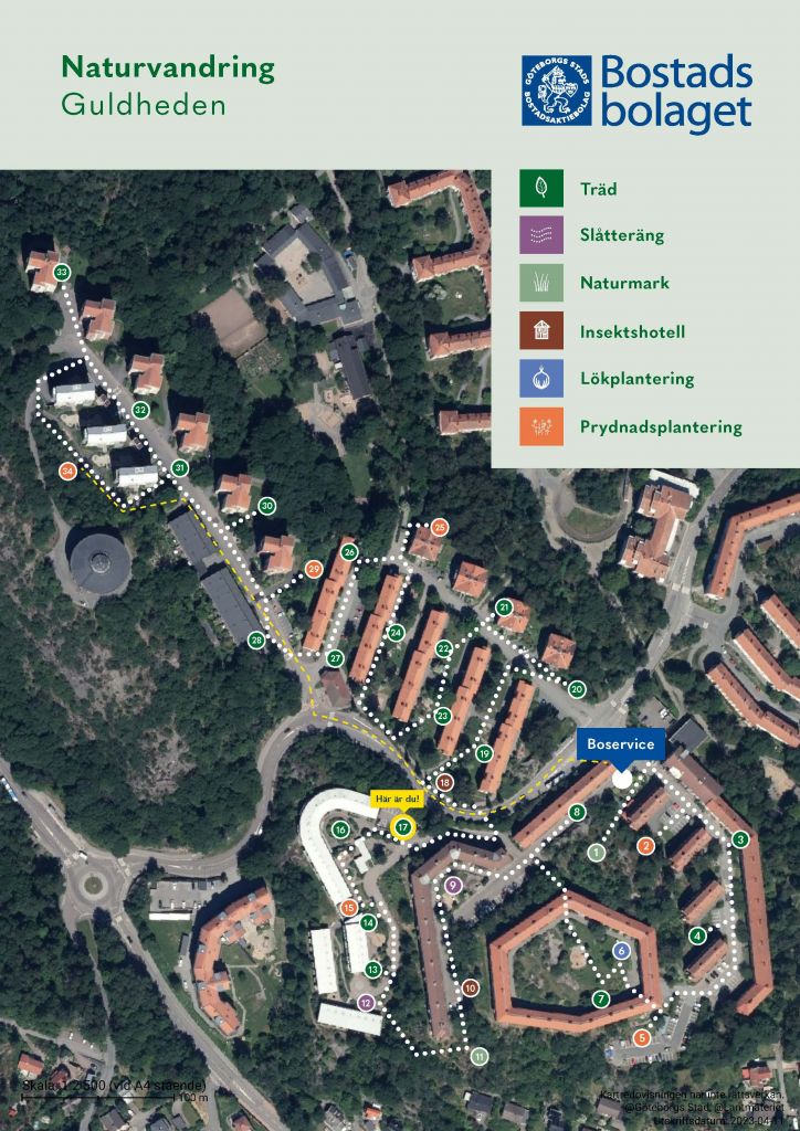 Visar punkt 17 på kartan över Guldhedens naturvandring. 