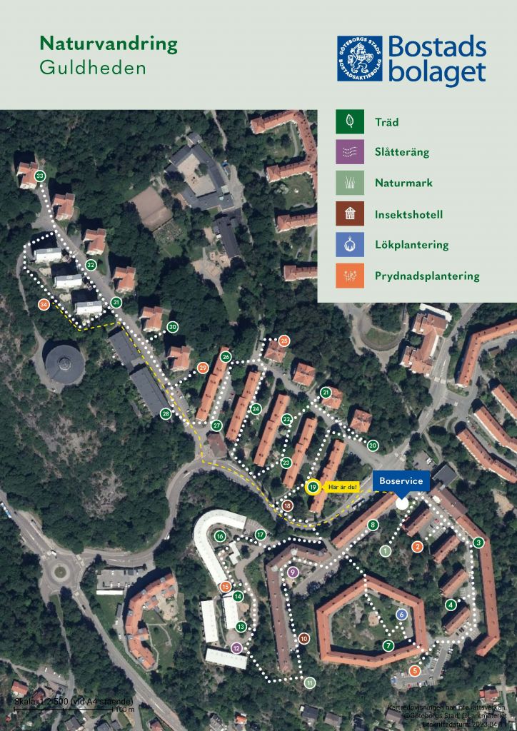 Visar punkt 19 på kartan över Guldhedens naturvandring. 
