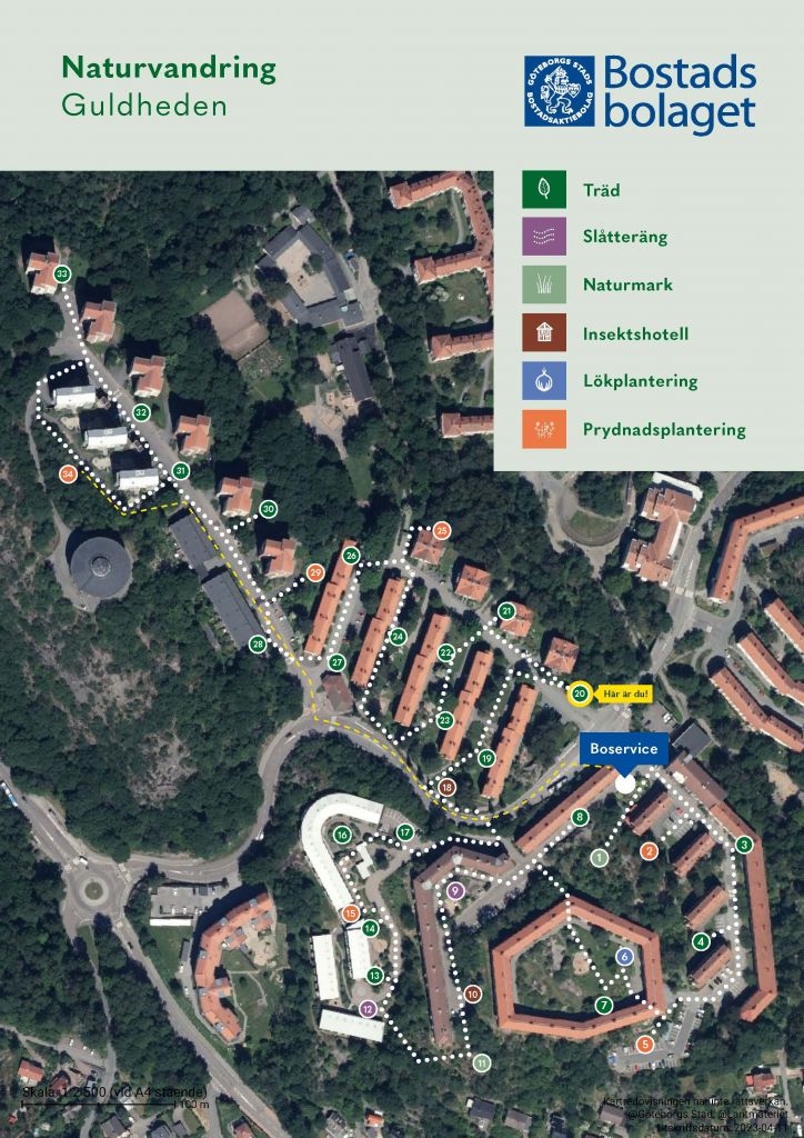 Visar punkt 20 på kartan över Guldhedens naturvandring. 