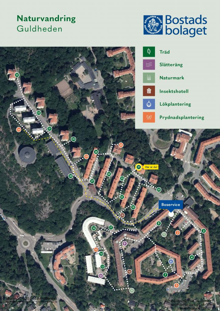 Visar punkt 21 på kartan över Guldhedens naturvandring. 