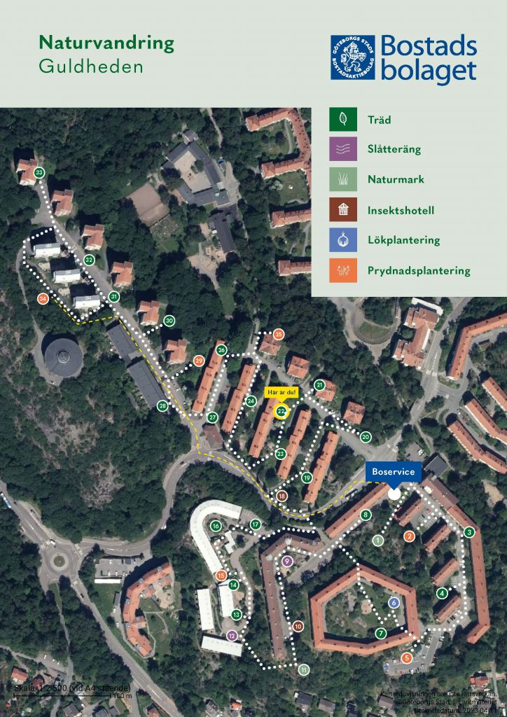 Visar punkt 22 på kartan över Guldhedens naturvandring. 