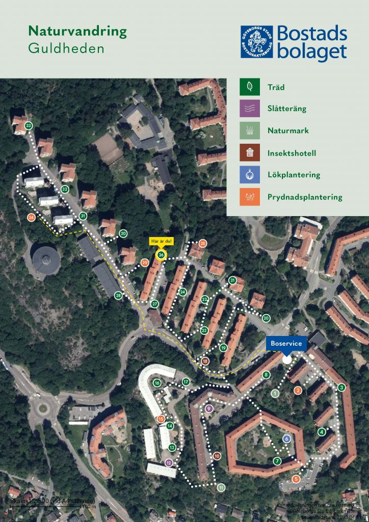 Visar punkt 26 på kartan över Guldhedens naturvandring. 