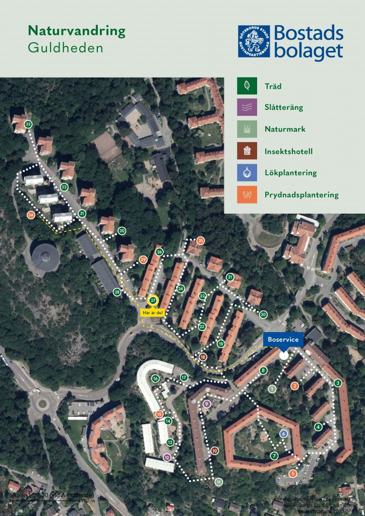 Visar punkt 27 på kartan över Guldhedens naturvandring. 