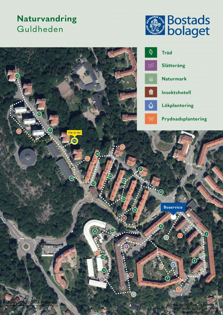 Visar punkt 30 på kartan över Guldhedens naturvandring. 