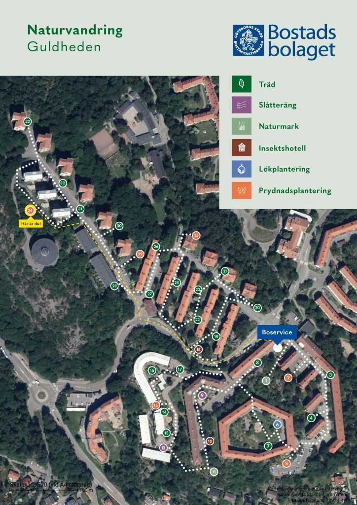 Visar punkt 34 på kartan över Guldhedens naturvandring. 