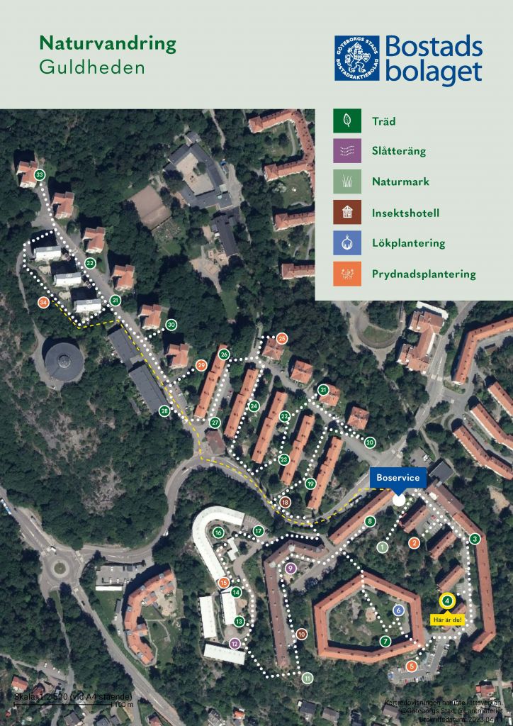 Visar punkt 4 på kartan över Guldhedens naturvandring. 