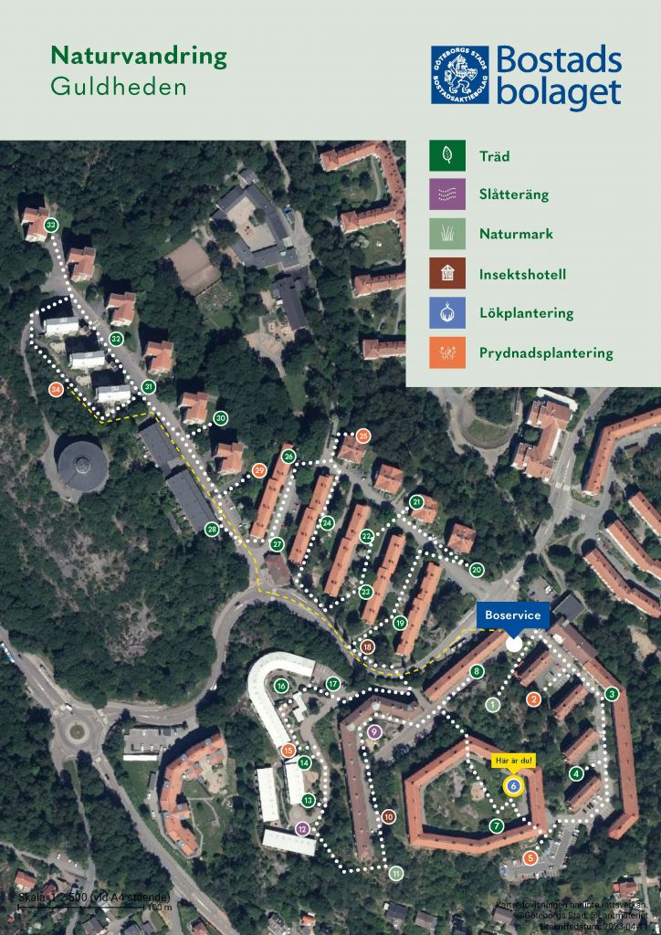 Visar punkt 6 på kartan över Guldhedens naturvandring. 