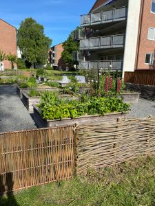 Odlingslådor i Järnbrott.