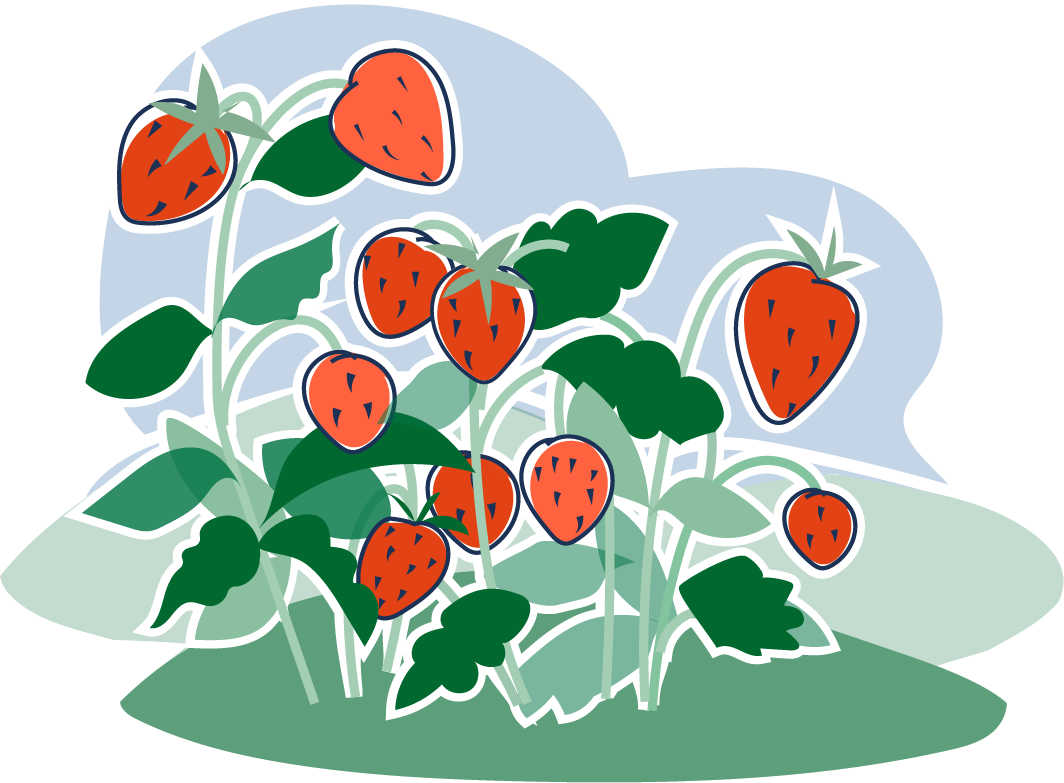 tecknad bild på jordgubbar
